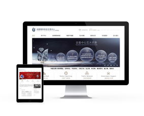 先锋时代 成都互动多媒体设计与网站建设的融合与创新